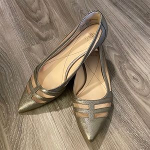 Silver Pointed Isola Flats